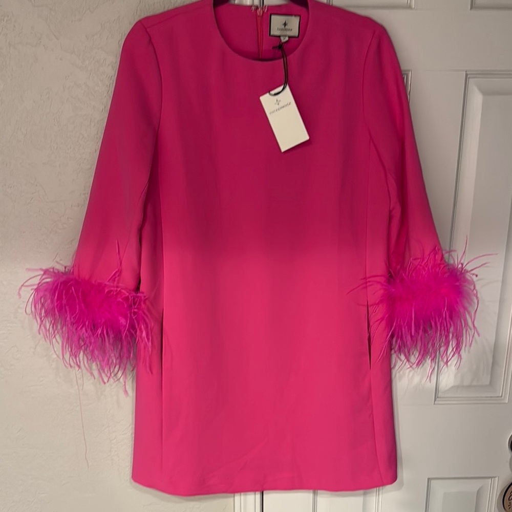 TUCKERNUCK PINK FEATHER DRESS